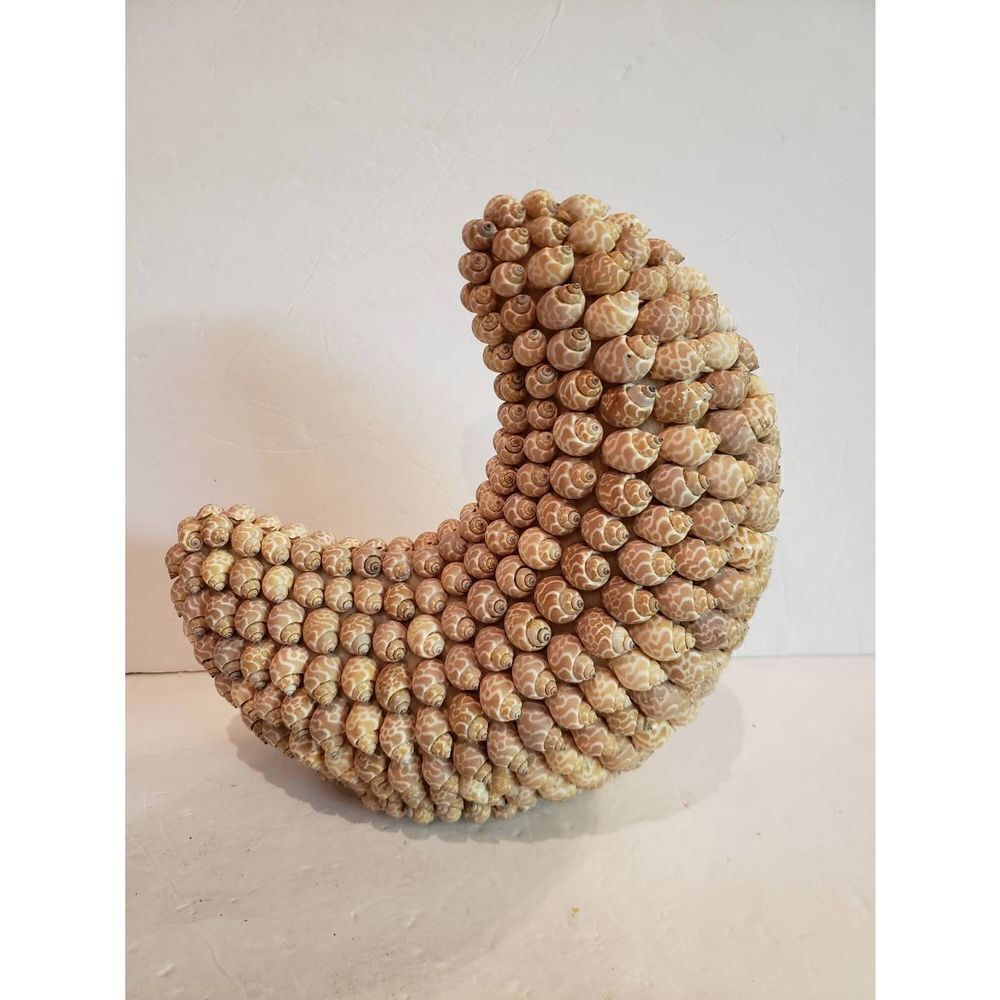 VTG Crescent Moon of Shells - Picture 3 of 9